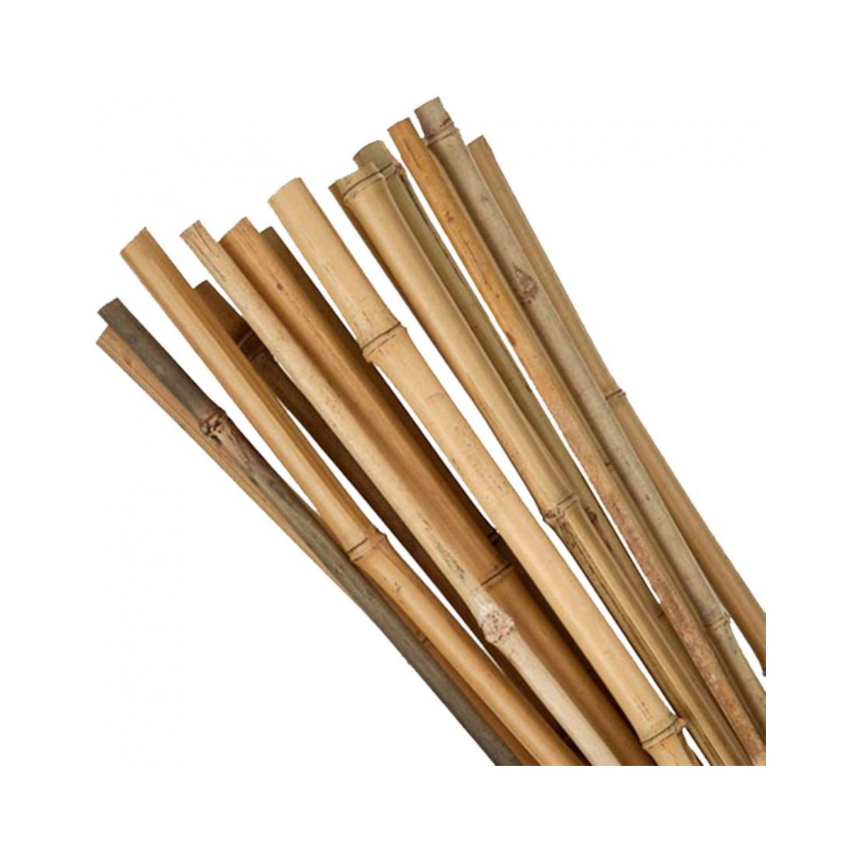 Unelte de gradinarit - Suport/arac bambus KBT 0600/08-10 mm, hectarul.ro