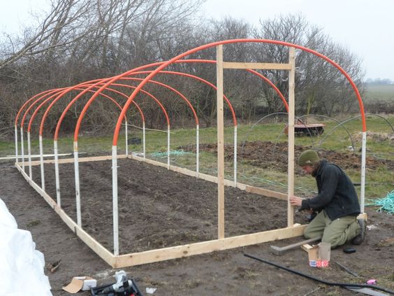Tipuri de solarii ce pot fi construite pentru cultivarea plantelor și legumelor grădină