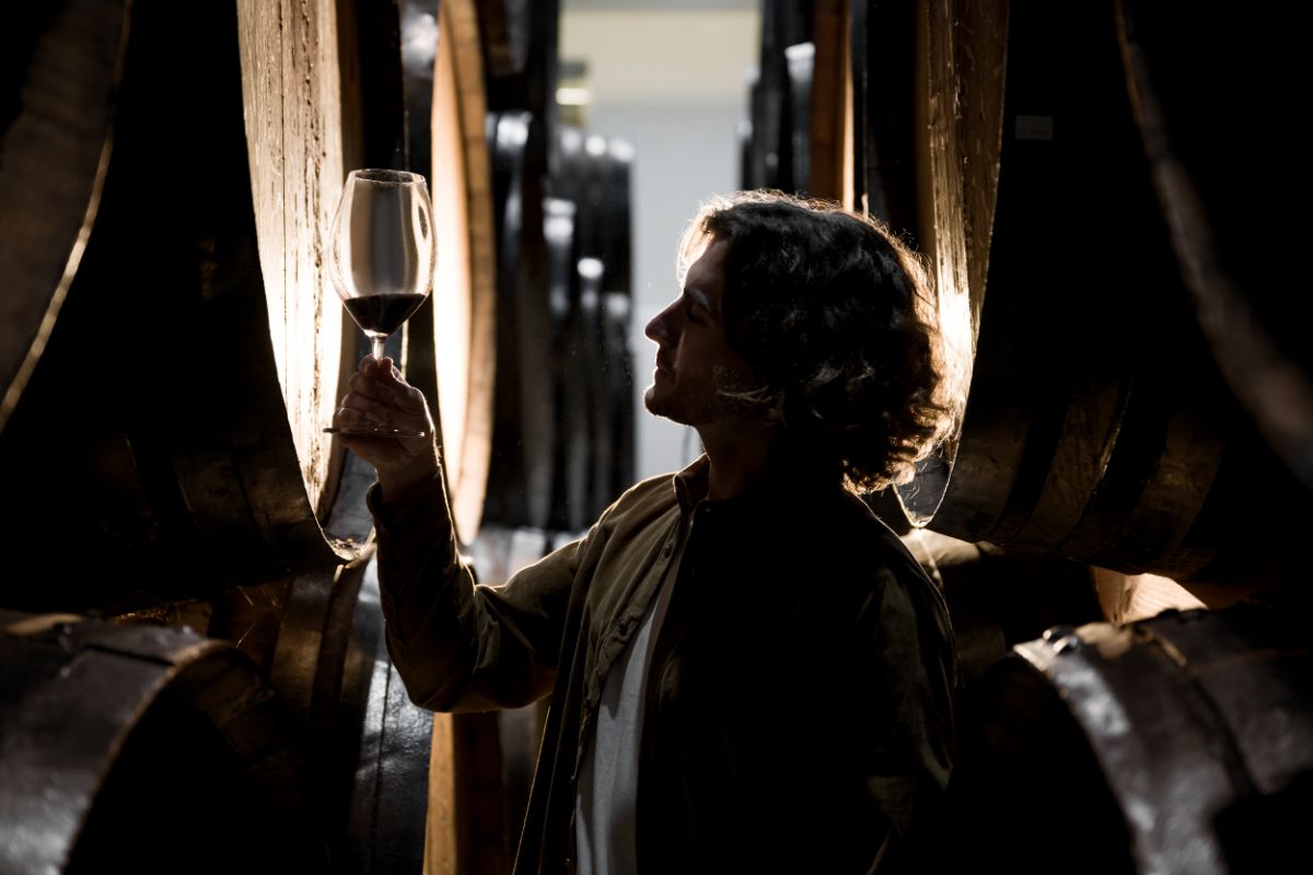 degustare vin
