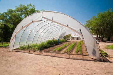 Sfaturi și recomandări pentru agricultorii care vor să construiască un solar eficient de legume
