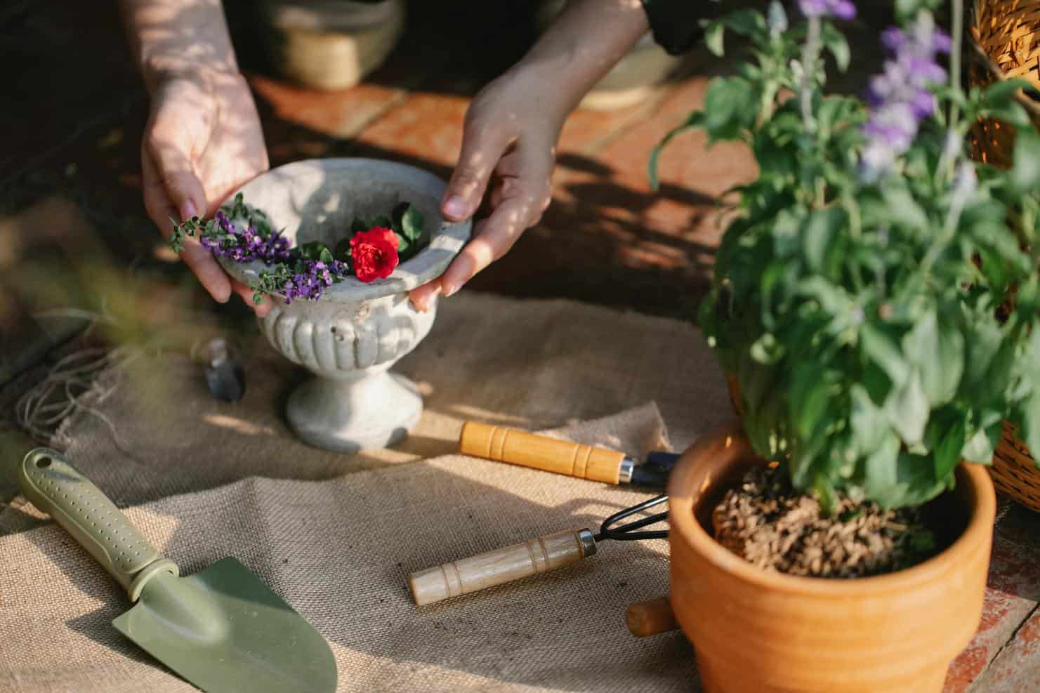 Tehnici de plantare pentru diverse tipuri de flori potrivite pentru ghivece