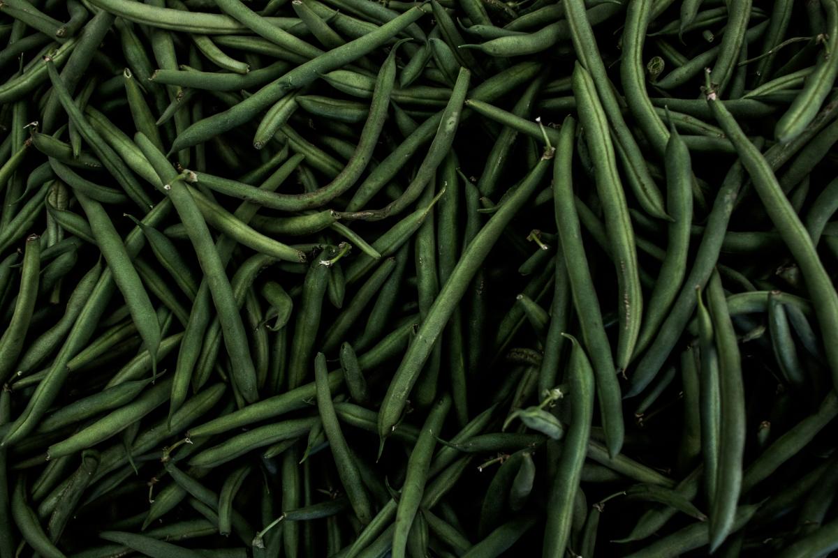 fasole verde