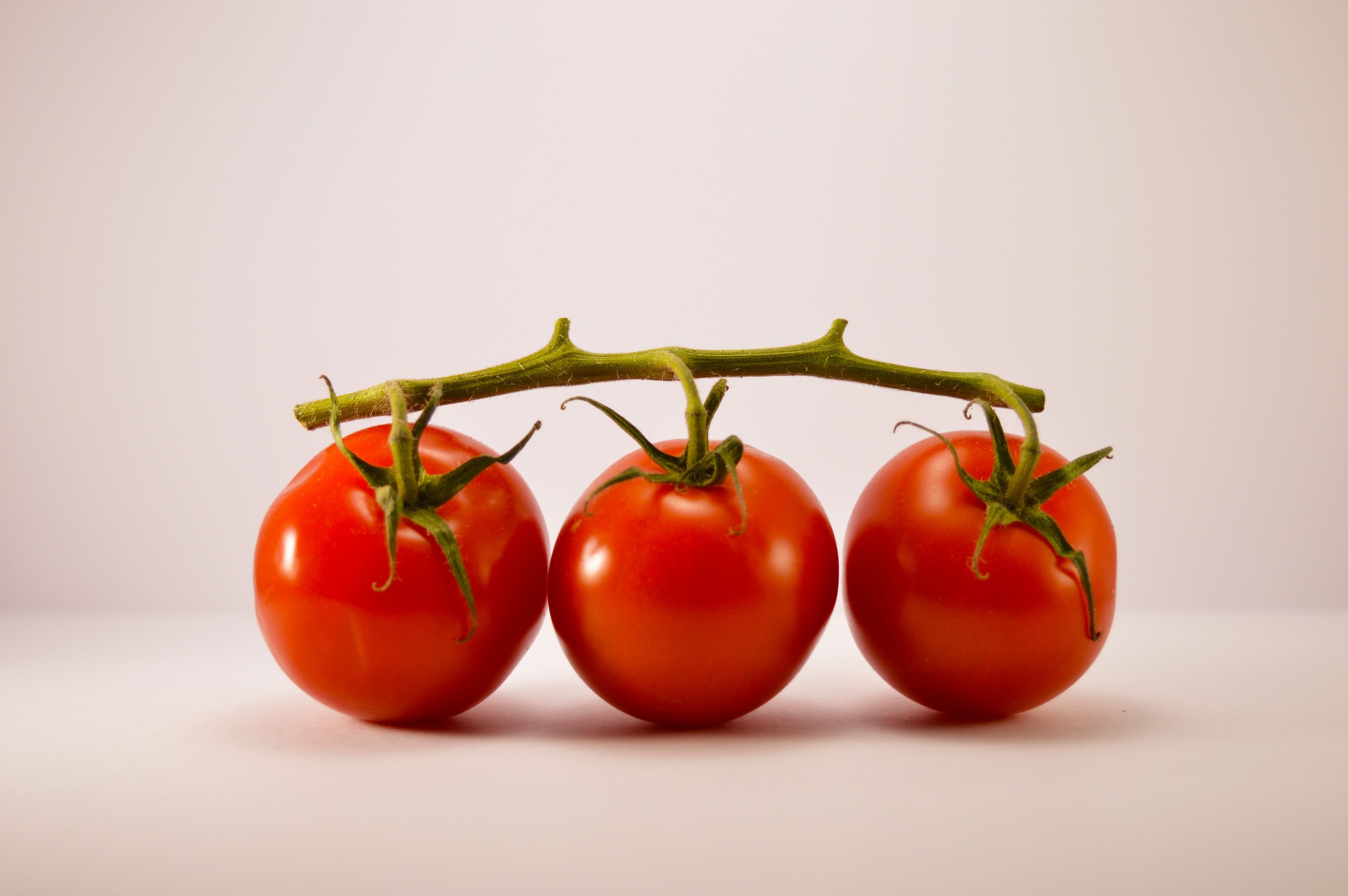 2. Care sunt tomatele - care sunt soiurile de roșii pe care le poți planta în grădină sau în solar