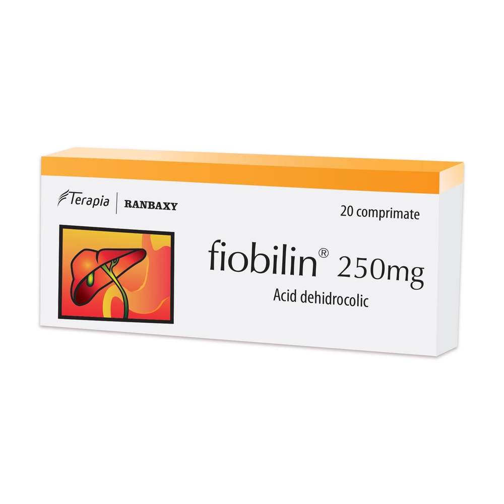 Fiobilin 250 mg, 20 comprimate, Terapia