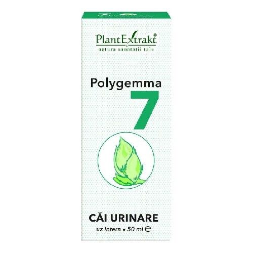  Polygemma 7, Căi Urinare, 50 ml, Plant Extrakt