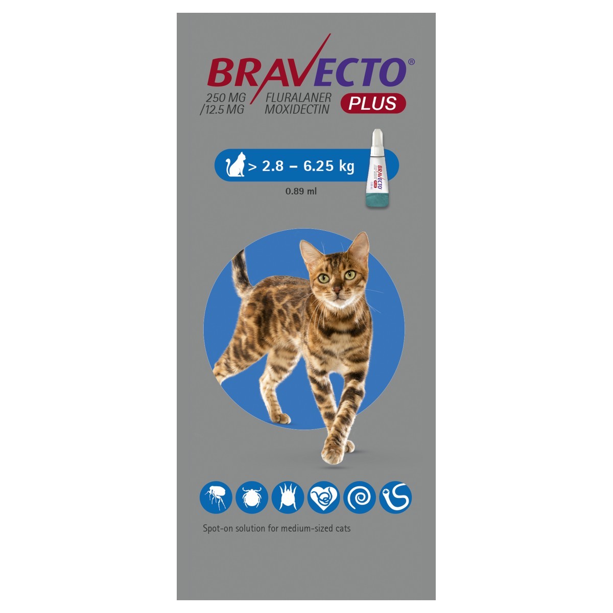 Antiparazitare - Bravecto Plus Spot On Cat 250 mg (2.8-6.25 kg), magazindeanimale.ro