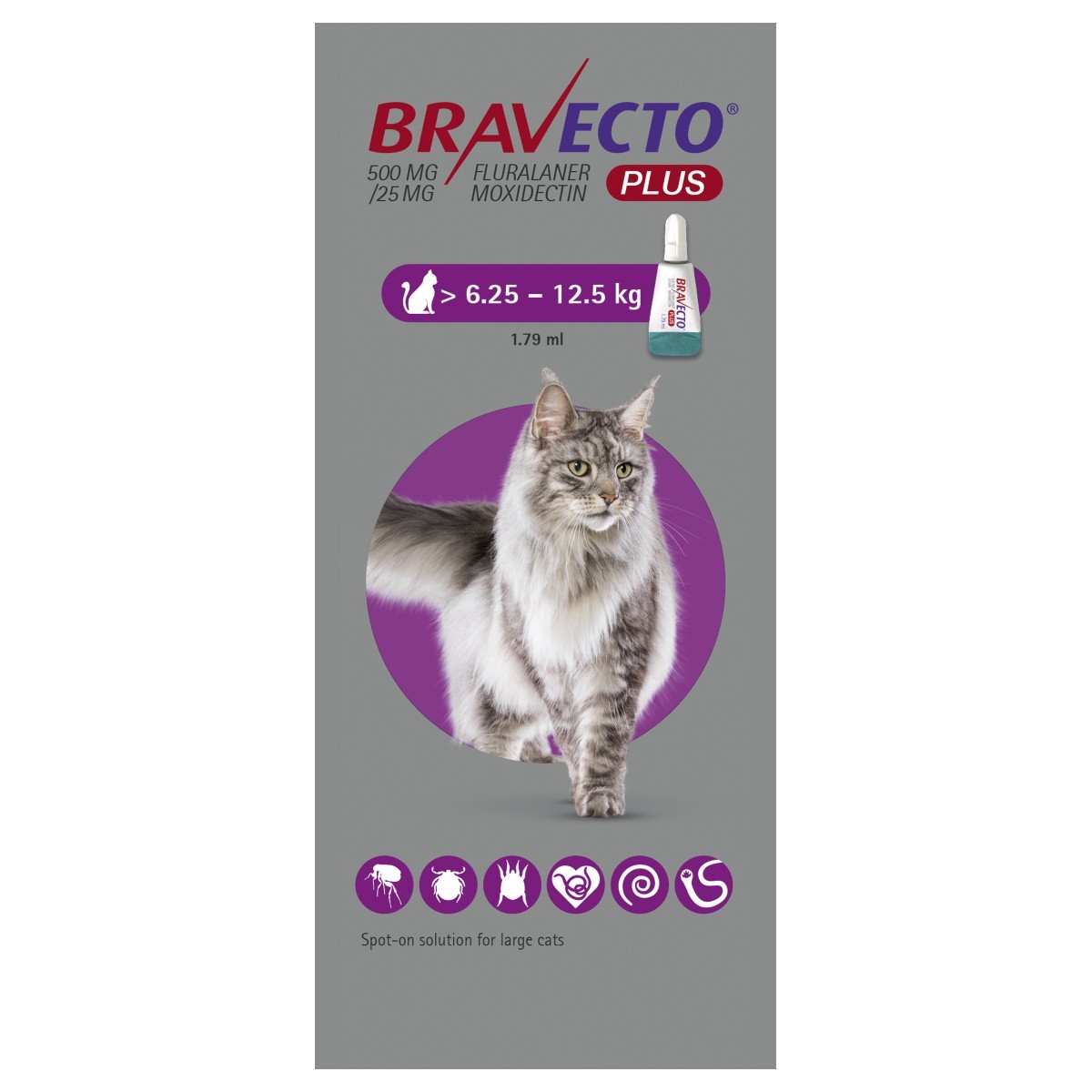 Antiparazitare - Bravecto Plus Spot On Cat 500 mg (6.25-12.5 kg), magazindeanimale.ro