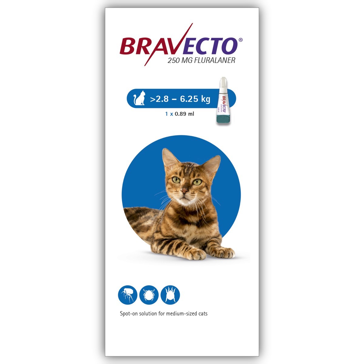 Antiparazitare - Bravecto Spot on Cat 250 mg (2.8 - 6.25 kg) , magazindeanimale.ro