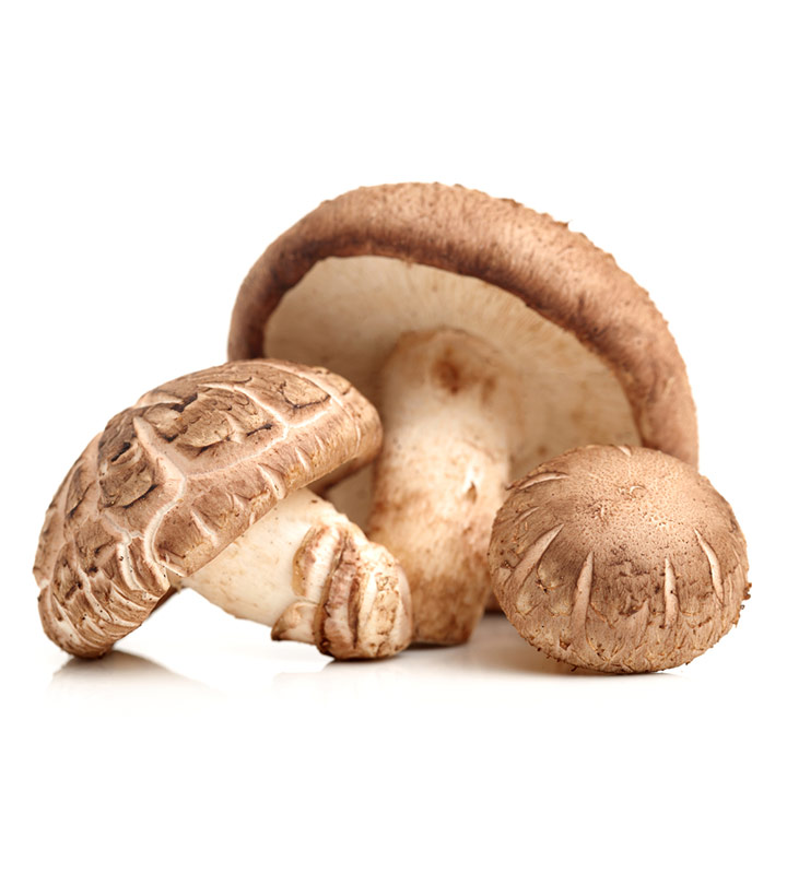 Ce sunt ciupercile shiitake