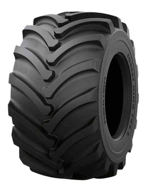 Auto Pneu Nokian Anvelope forestiere 710/45-26.5 168a8/175a2 nokian forest king trs 2 sf tt
