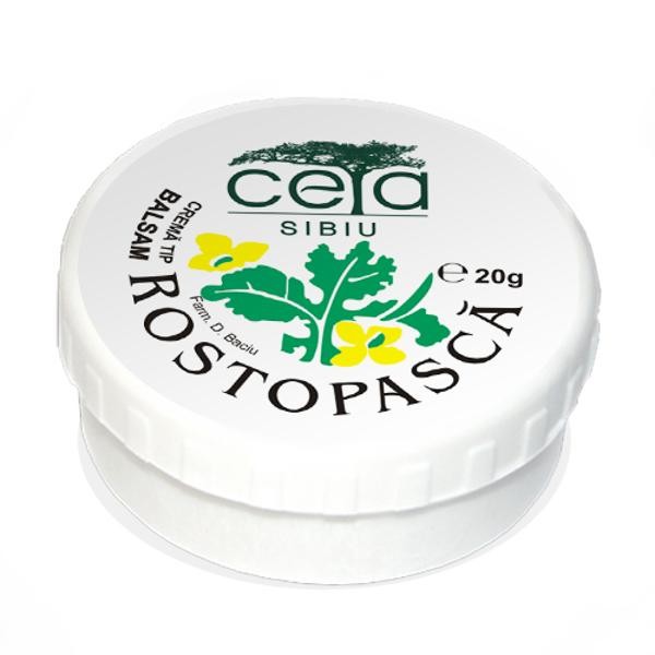 Unguente, creme, geluri - CETA UNGUENT CU ROSTOPASCA 20G, axafarm.ro