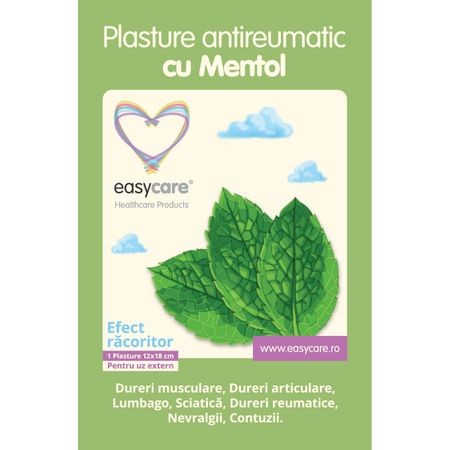 Diverse - EASY CARE PLASTURE ANTIREUMATIC MENTOL 12X18CM, axafarm.ro