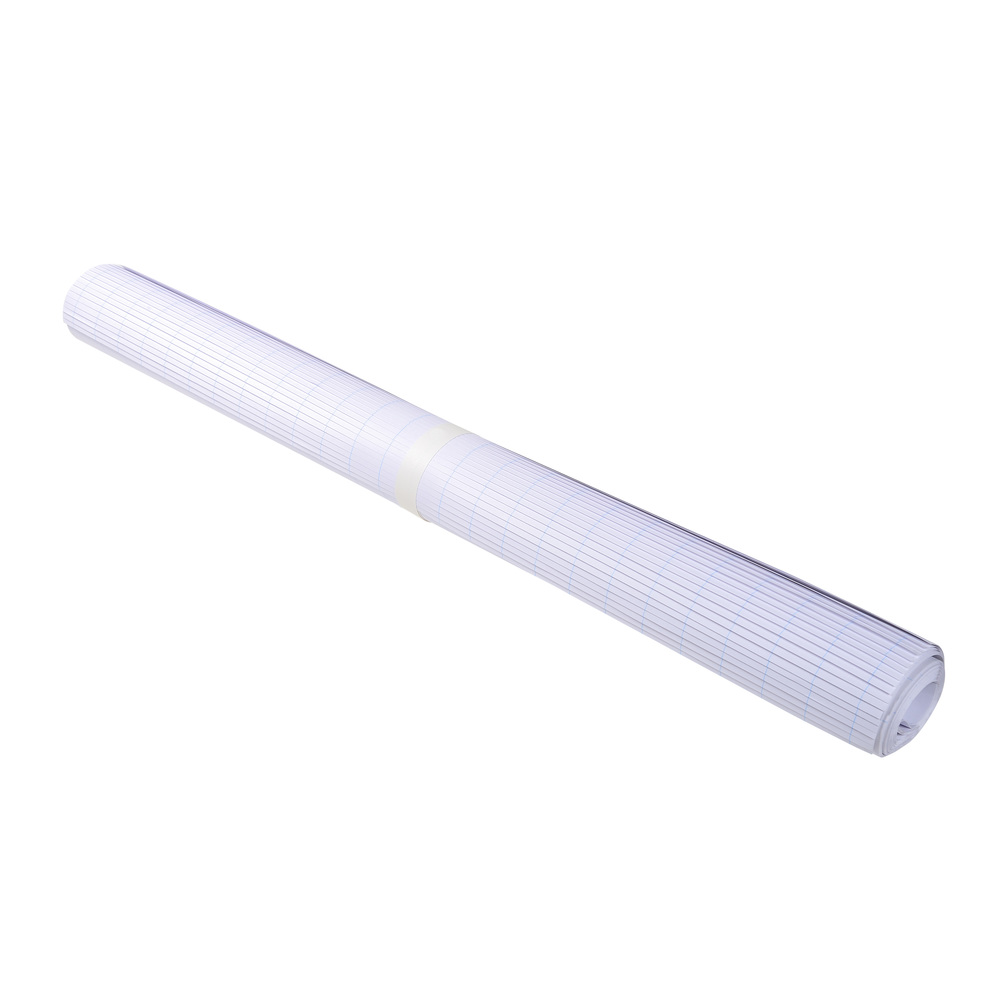 Produse pentru prezentare și afișare - Hartie flipchart matem. 65*100 cm 60g 40 file exacompta