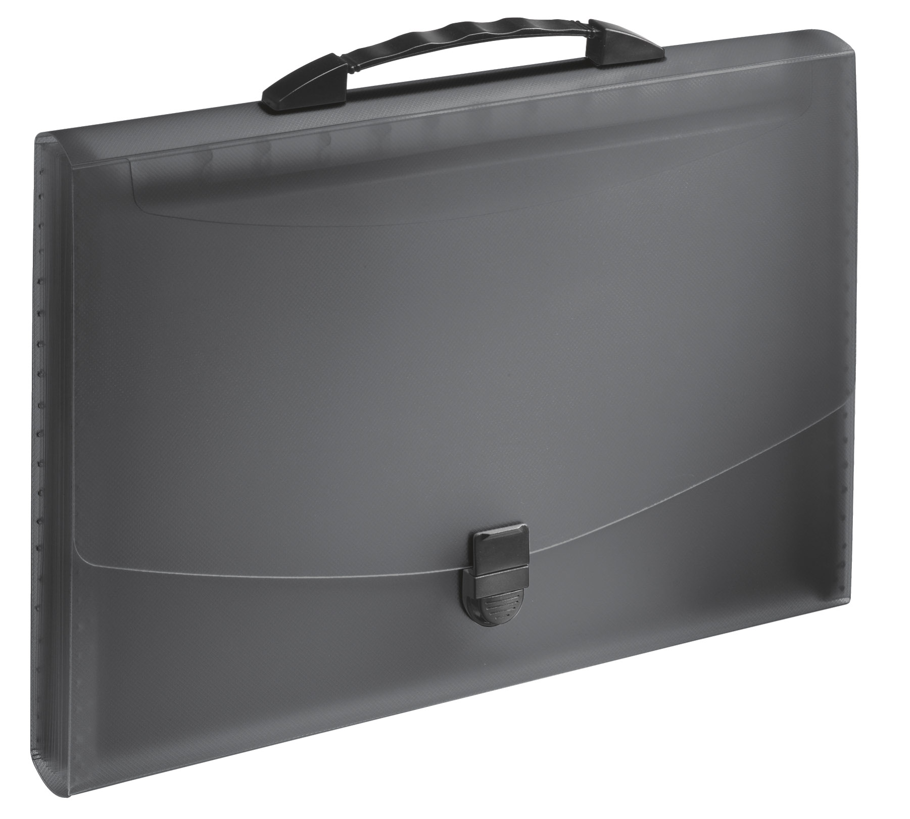 Mapa Plastic 12 Compartimente Cu Maner Neagra Vivida Esselte