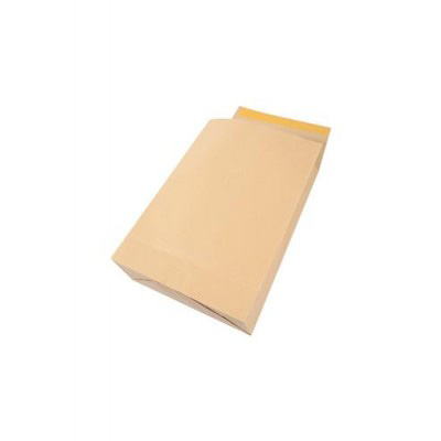 Plic B4 Silicon Burduf 150MM 120G 250*353MM Maro Tip T 100/C Gpv