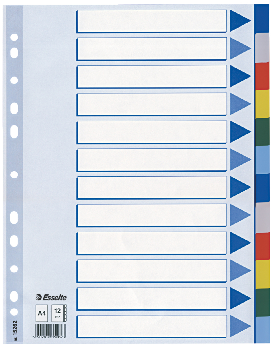 Separatoare Index Plastic 12 Culori Esselte