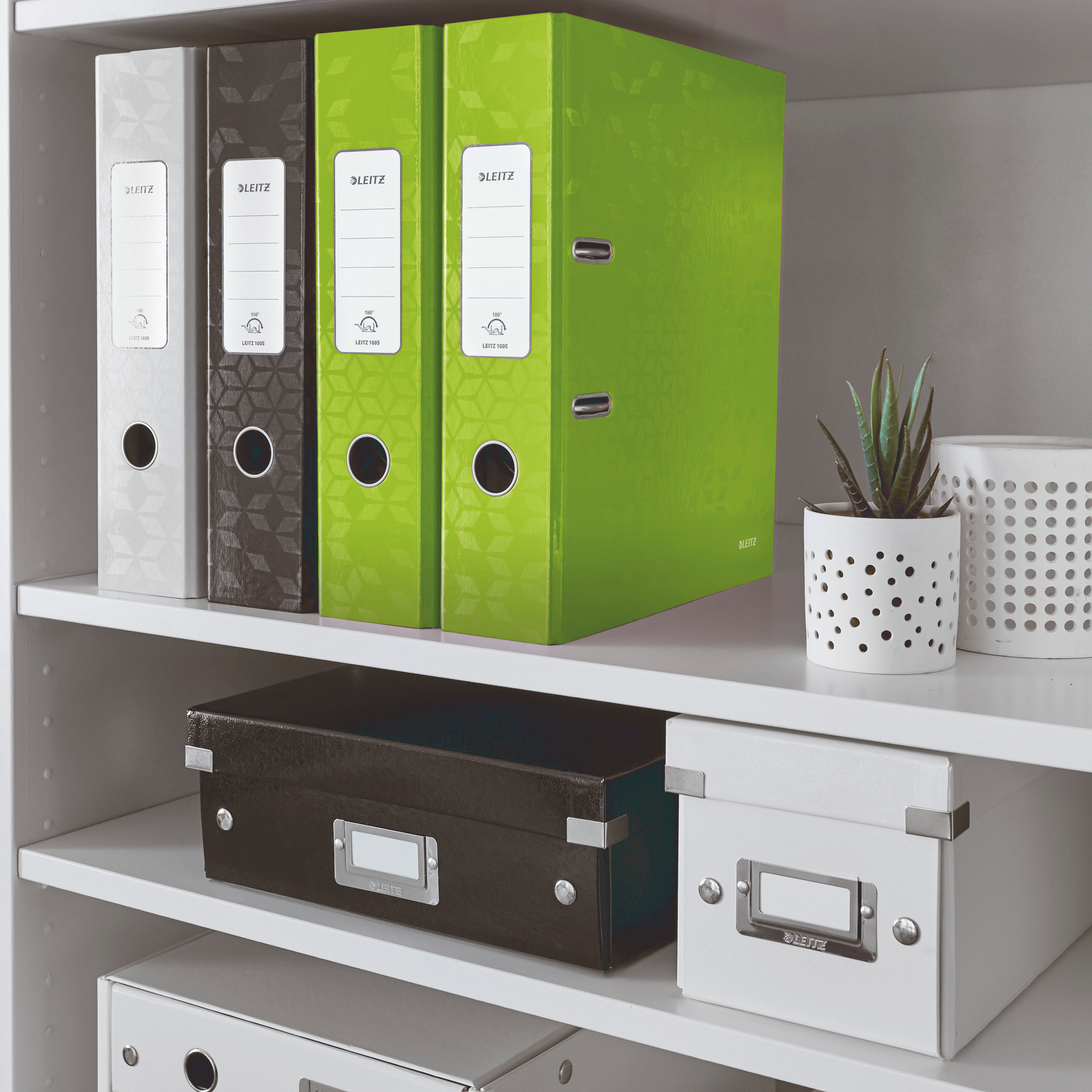Biblioraft plastifiat 8cm 180grade verde wow leitz [2]