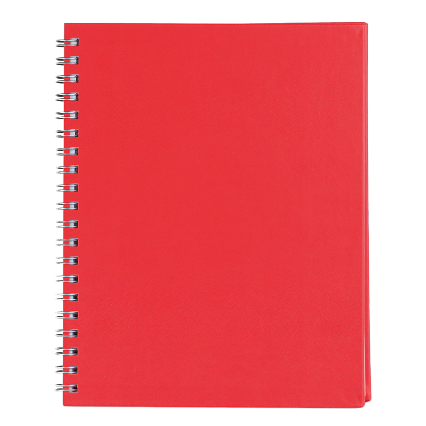 Agenda A4 Nedatata Rosie Vo Premier Ego