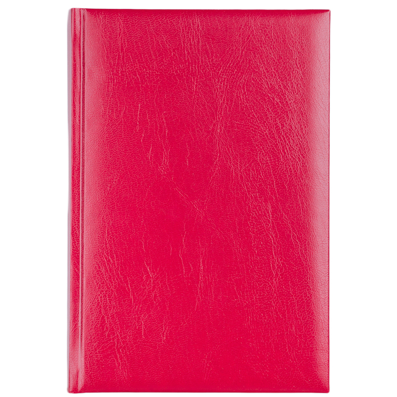 Agenda A5 Zilnica Bordo 2026 Basic Ego