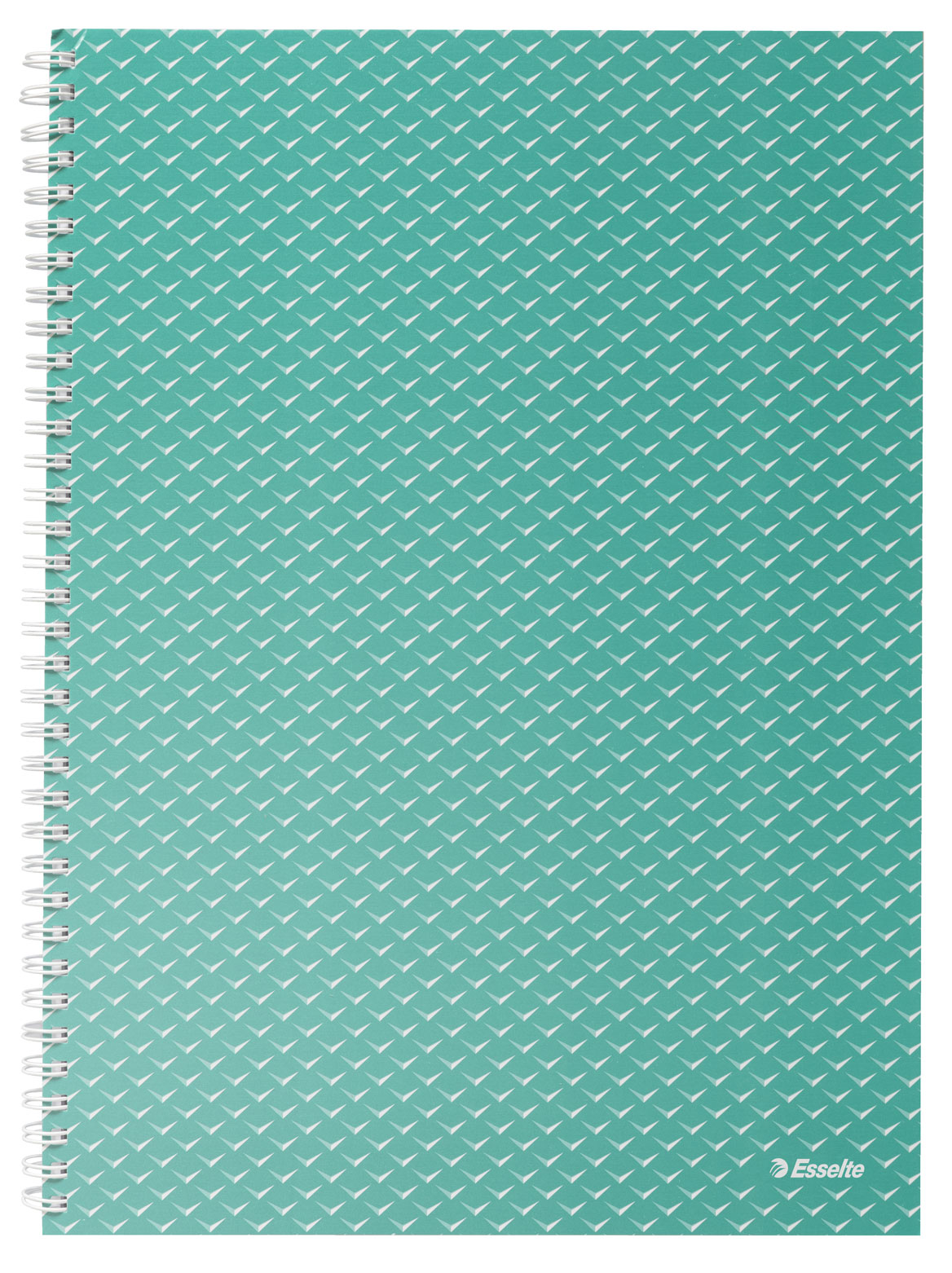 Caiet Birou Spira A4 80 File Dictando Verde Coperta Carton Colour'breeze Esselte