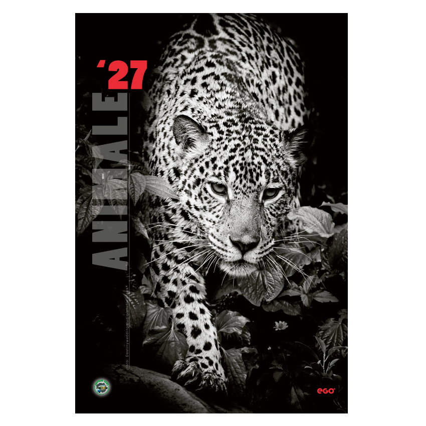 Calendar Perete Animale 13 File Ego