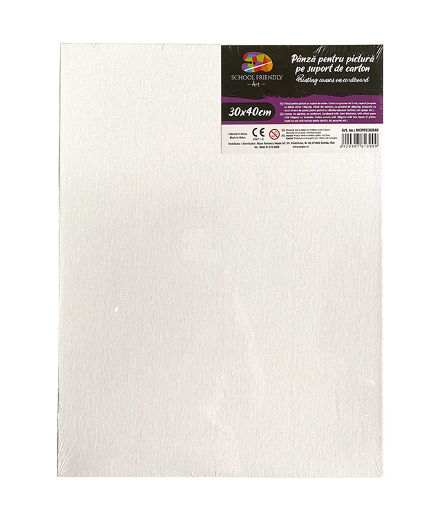 Carton Panzat 3 Mm 30 X 40 Cm Sf Art Pigna