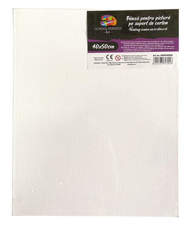Carton Panzat 3 Mm 40 X 50 Cm Sf Art Pigna