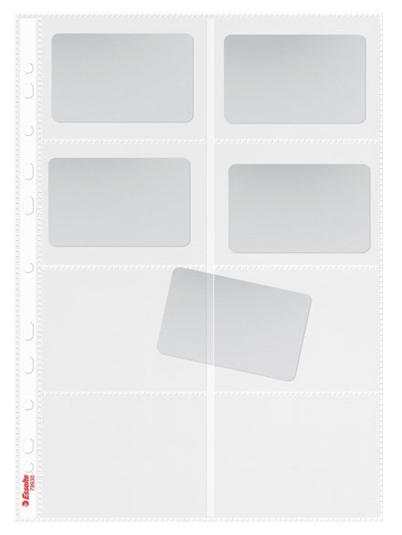 Esselte Folie Protectie A4 Pentru Carti De Vizita 10/Set 105 Microni Ess
