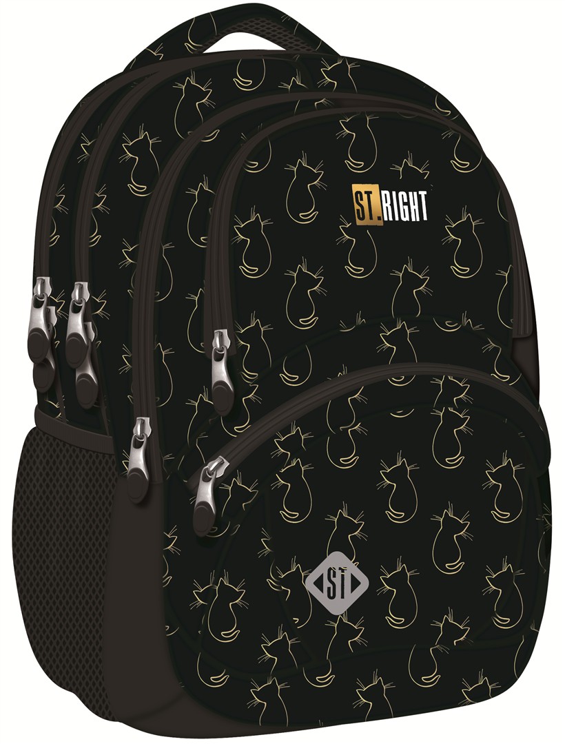 Ghiozdan Liceu BP-05 Golden Cats St.right Majewski