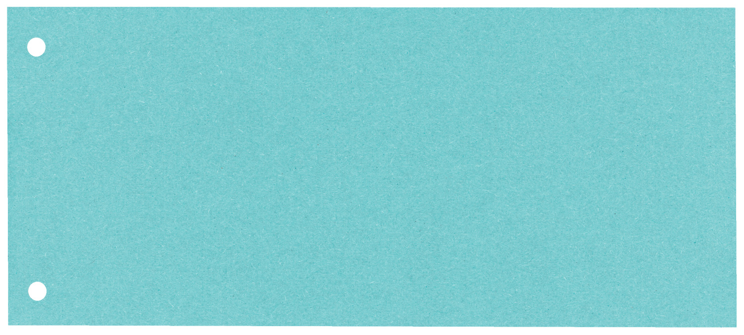 Separatoare Carton 105*240 Mm Albastre Esselte