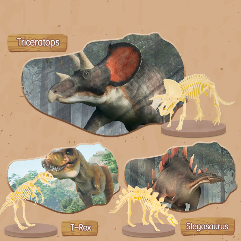 Set creativ fossile detective tyrannosaurus deli [1]