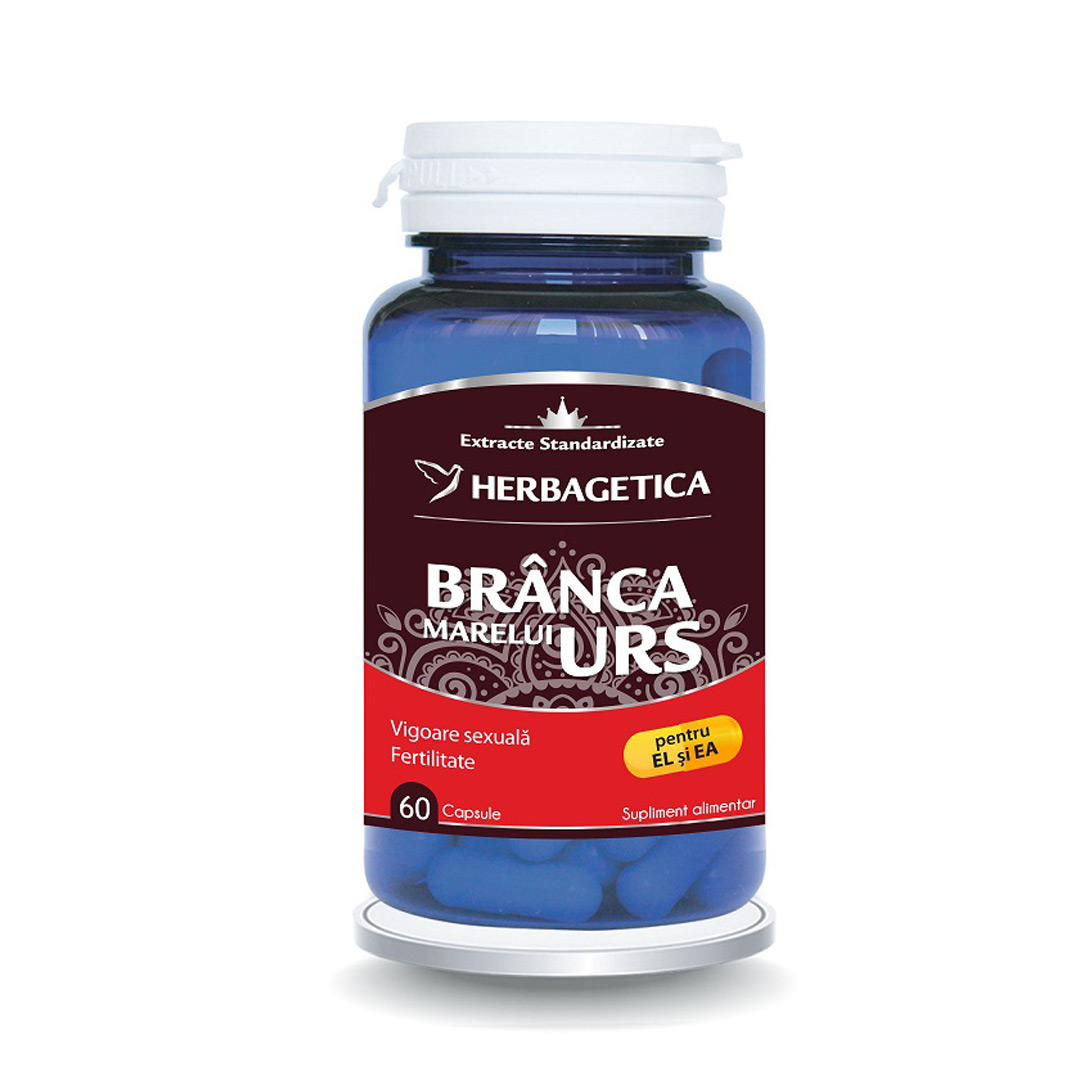 Branca Marelui Urs, 60 capsule, Herbagetica