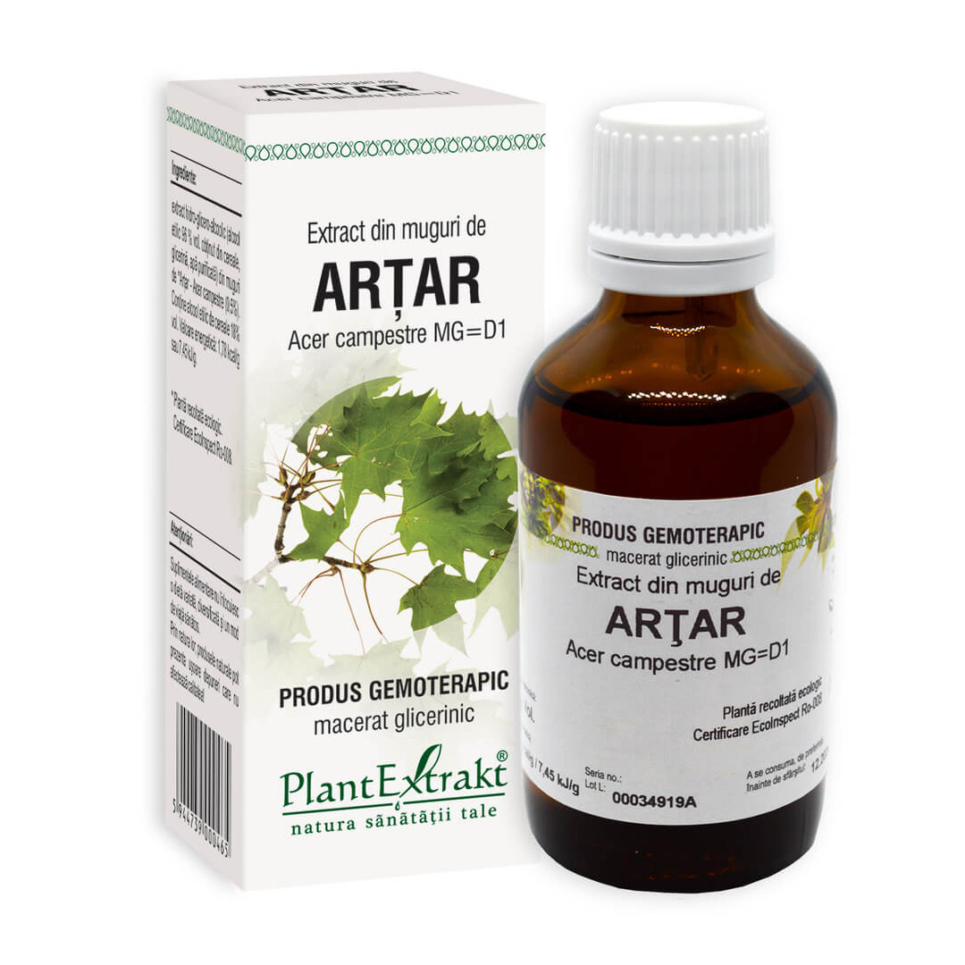 Extract din muguri de artar 50 ml (ACER CAMP), 50 ml, Plant Extrakt