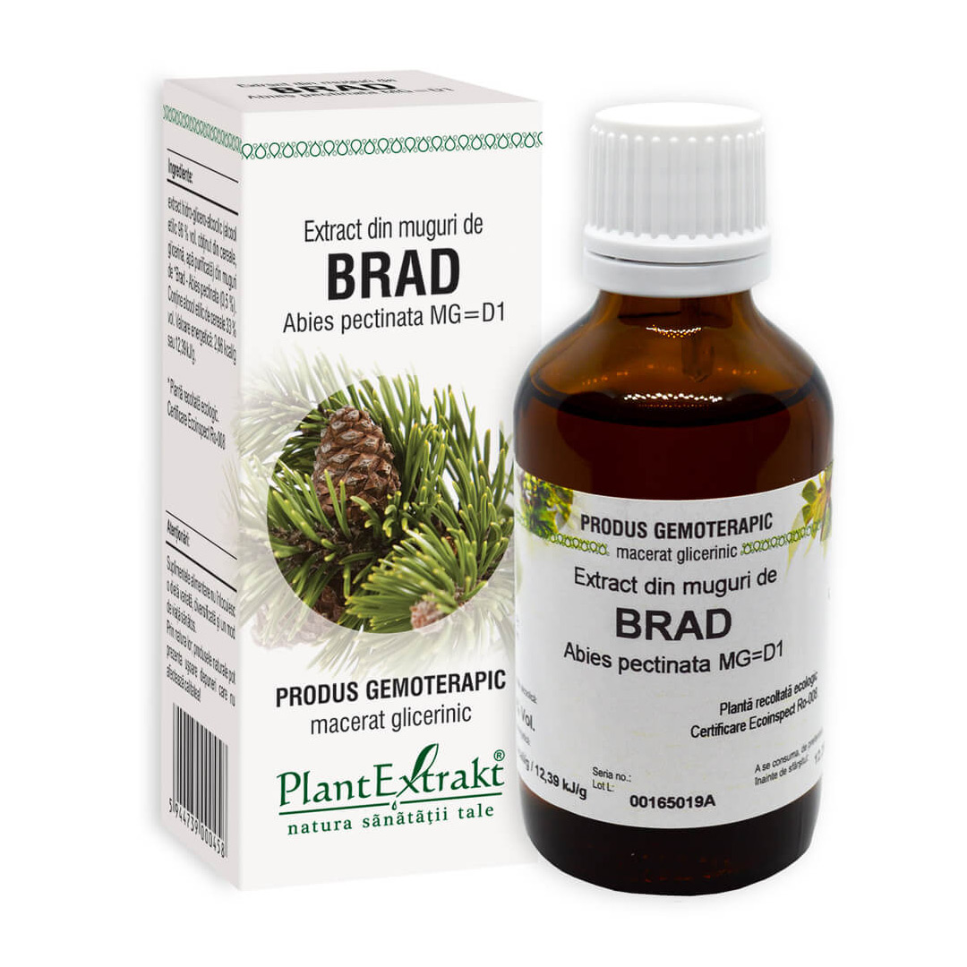 Extract din muguri de BRAD Abies pectinata, 50 ml, Plant Extrakt