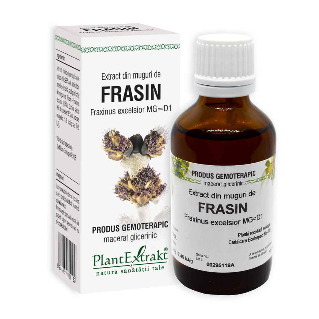 Extract din muguri de FRASIN - Fraxinus ex MG=D1, 50 ml, Plant Extrakt