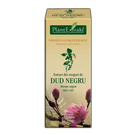 MORUS NIGRA 50ml