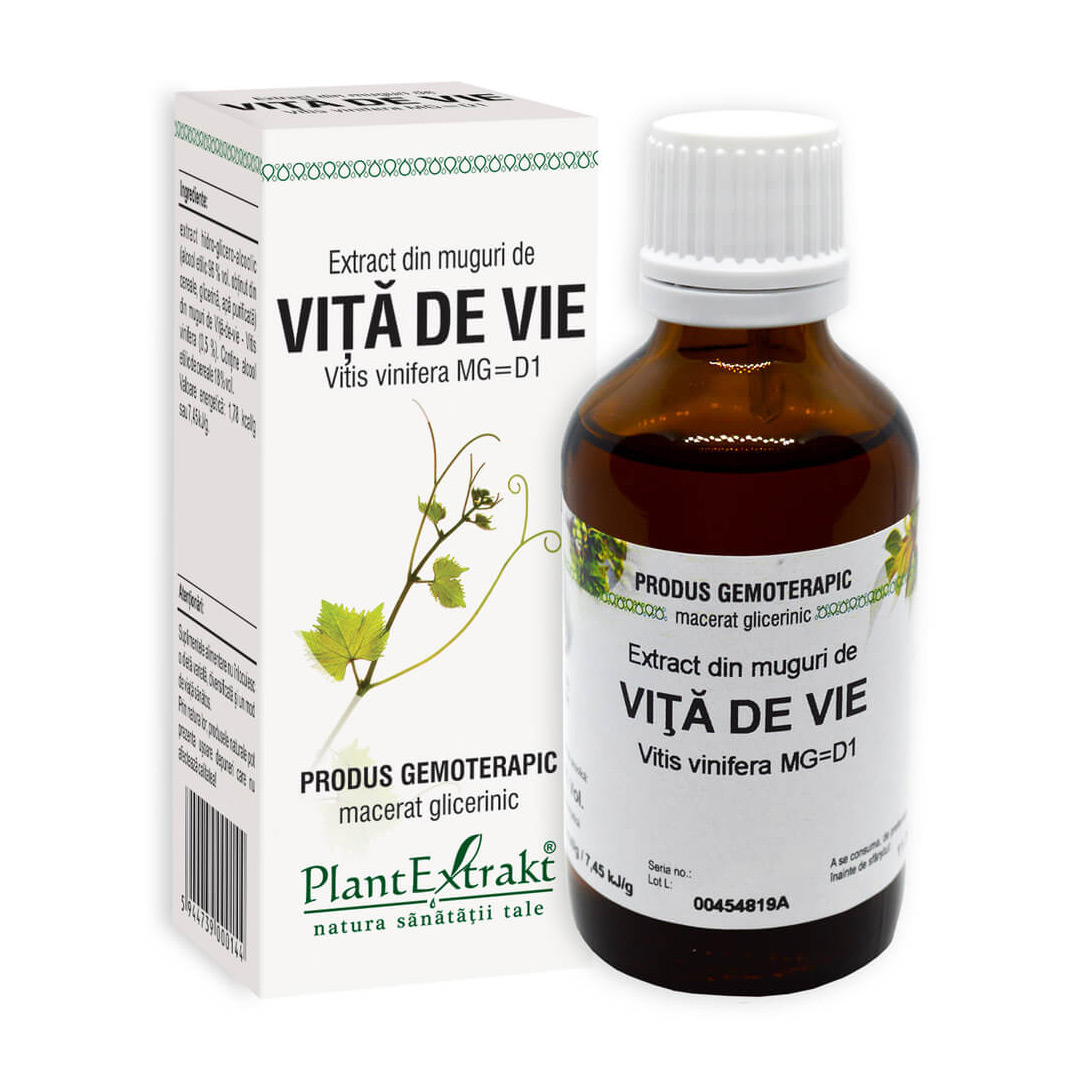 Extract din muguri de VITA DE VIE (Vitis vinifera MG=D1), 50 ml, Plant Extrakt