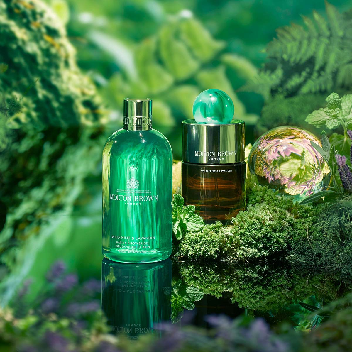 wild-mint-