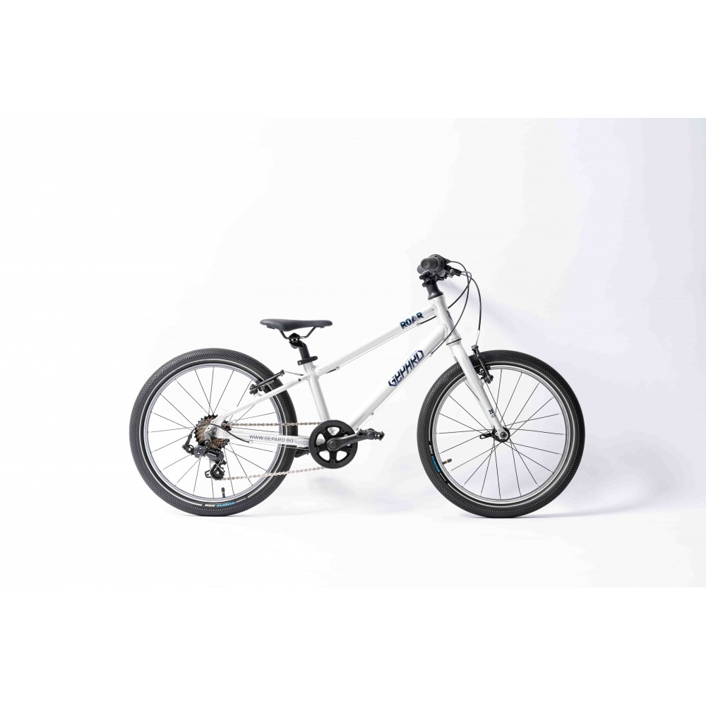 BICICLETA COPII GEPARD ROAR 20 RAW ALUMINIUM 20inch [1]