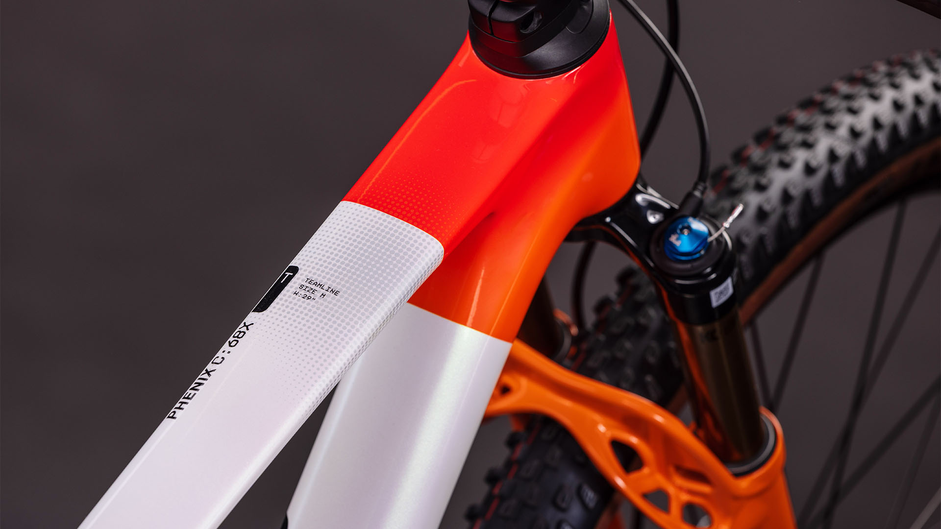 BICICLETA CUBE PHENIX C:68X SLX TEAMLINE 2026 L [1]