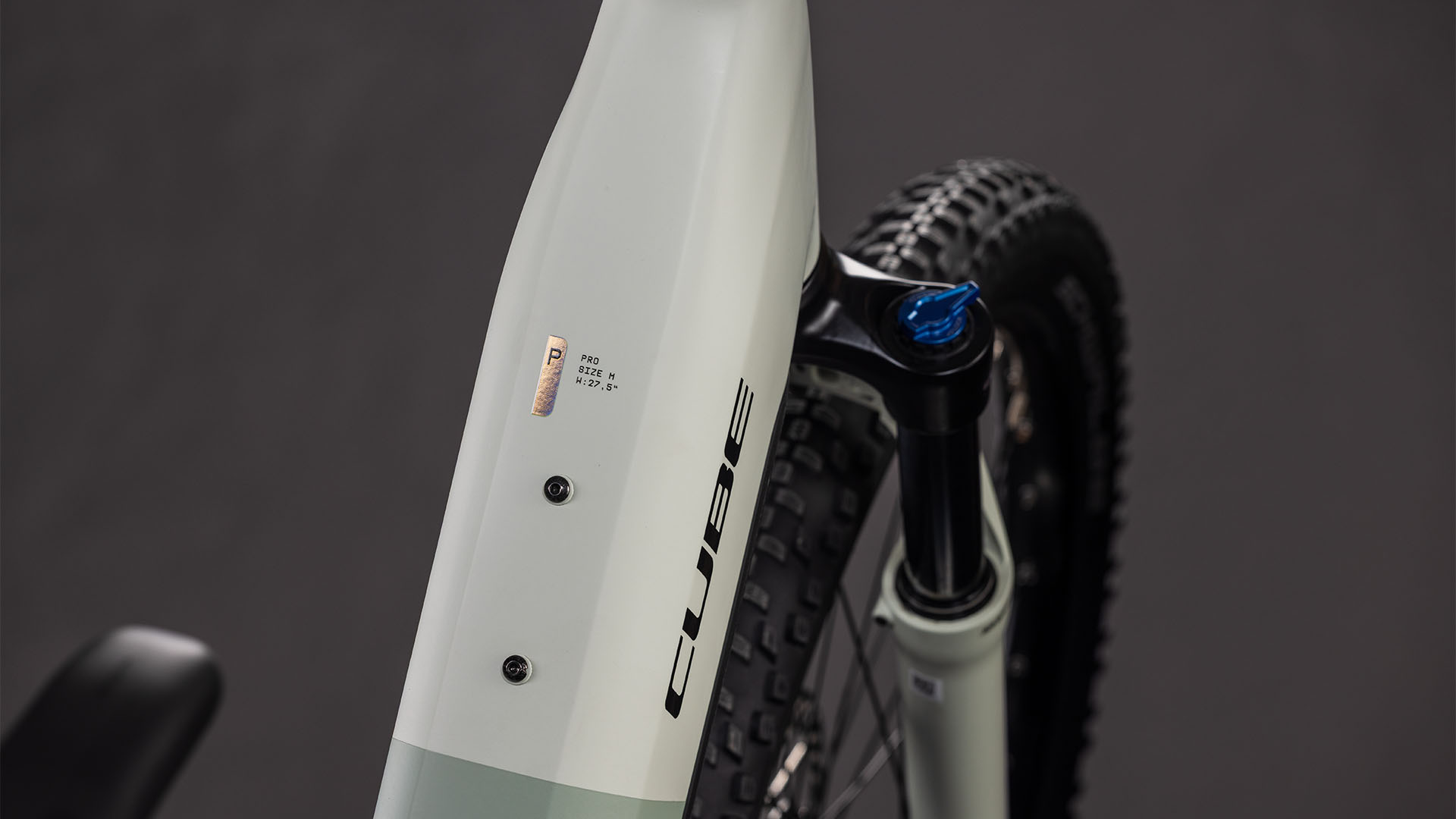 BICICLETA ELECTRICA CUBE REACTION HYBRID PRO 800 EASY ENTRY DESERTSTONE DRIEDHERBS 2026 cadru L (20") - roti 29 [1]