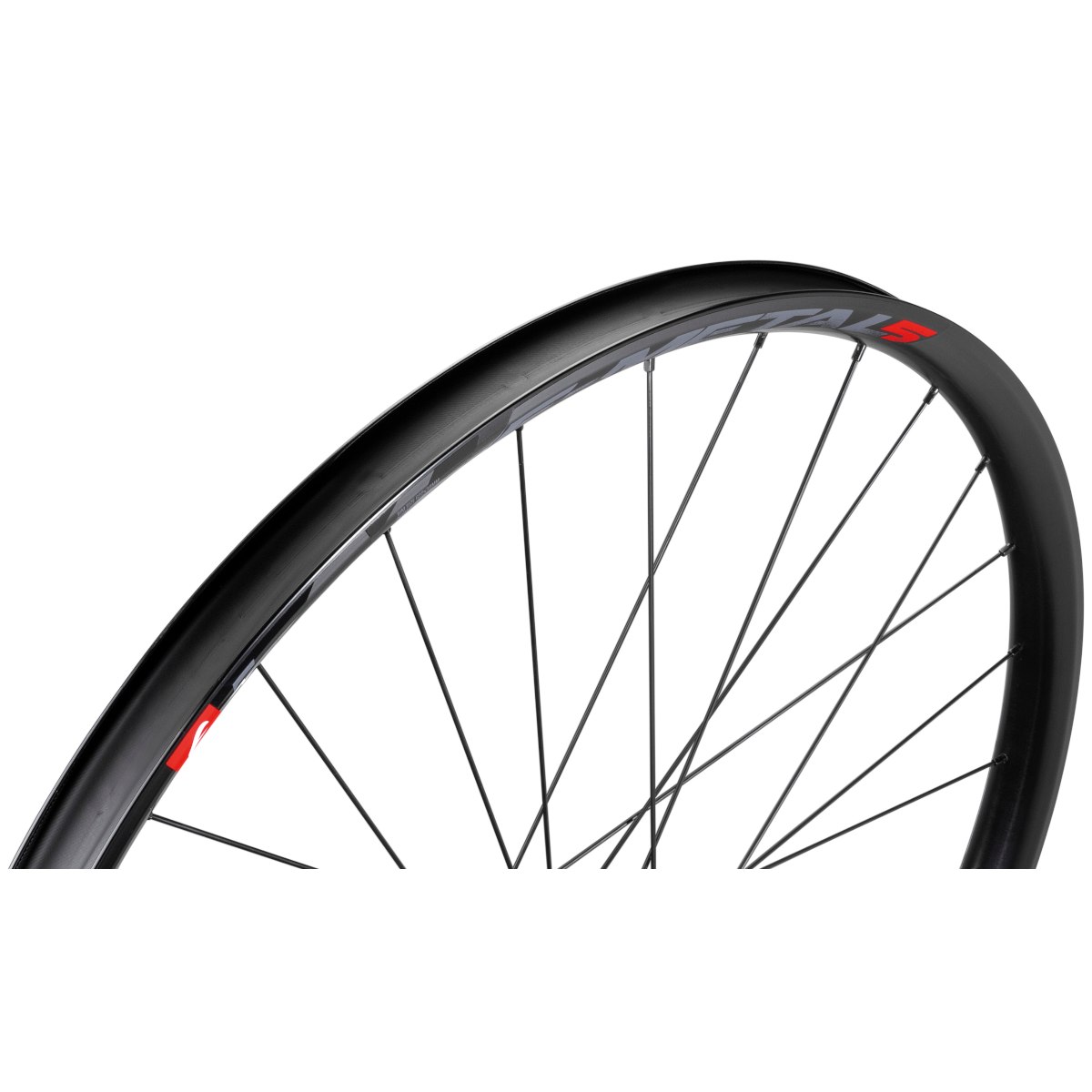 ROATA SPATE FULCRUM E-METAL 5 29 2WF-R 6 BOLTS BOOST SHIMANO MICRO SPLINE [3]