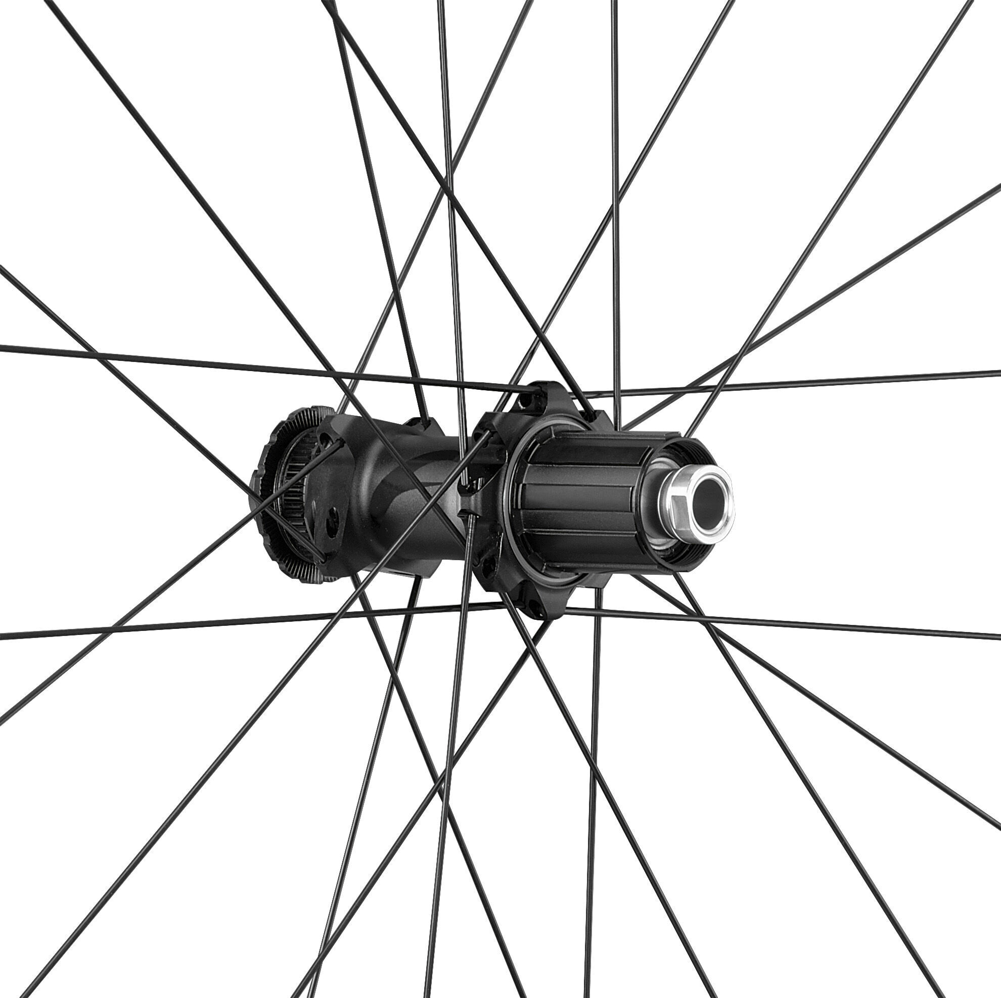 ROATA SPATE FULCRUM FULCRUM RAPID RED 3 650B 2WF-R C24 AFS SHIMANO HG [3]