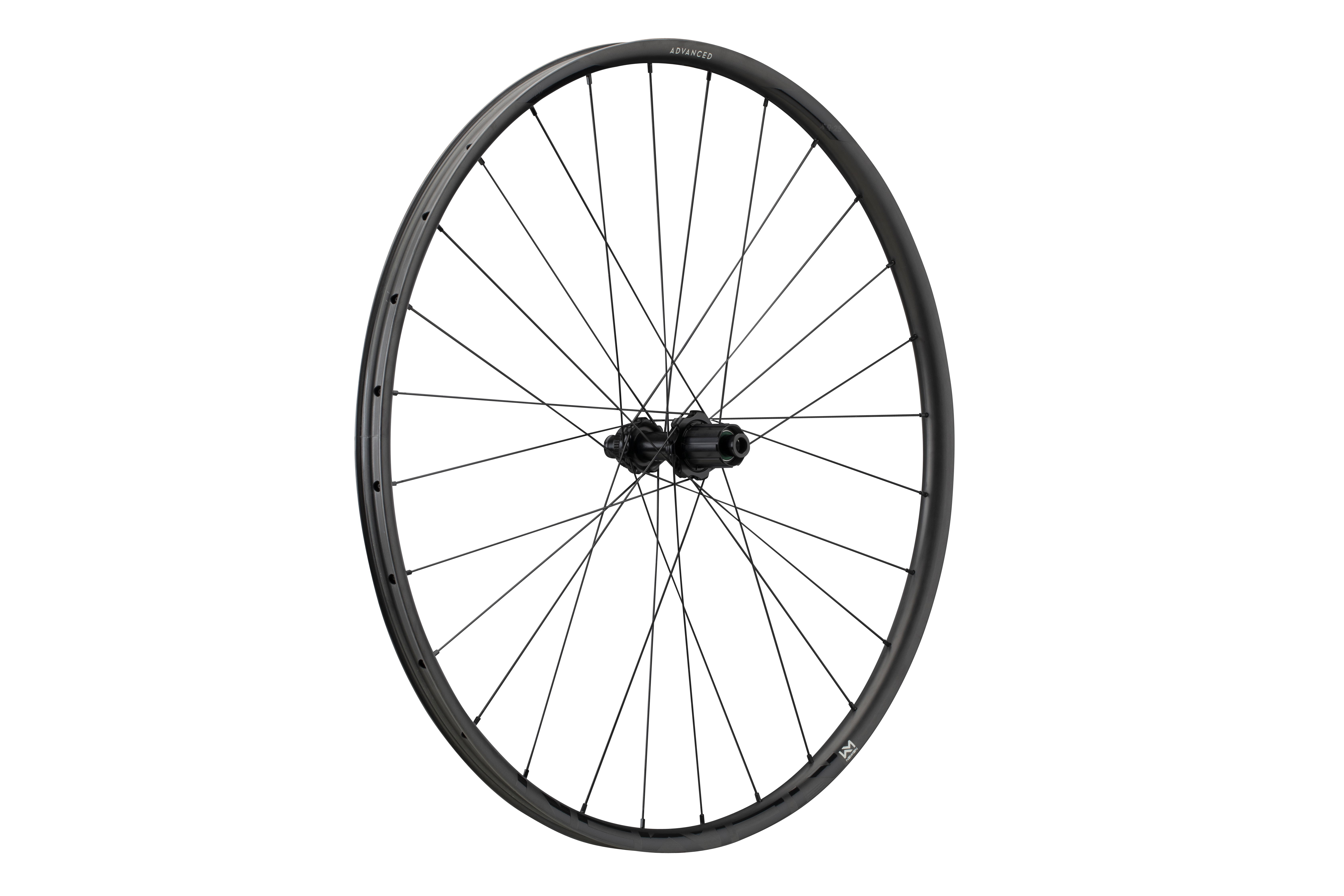 Ciclism - ROATA SPATE NEWMEN ADVANCED SL X.R.25 29INCH 28H FADE R SP CL 12X142 Micro Spline