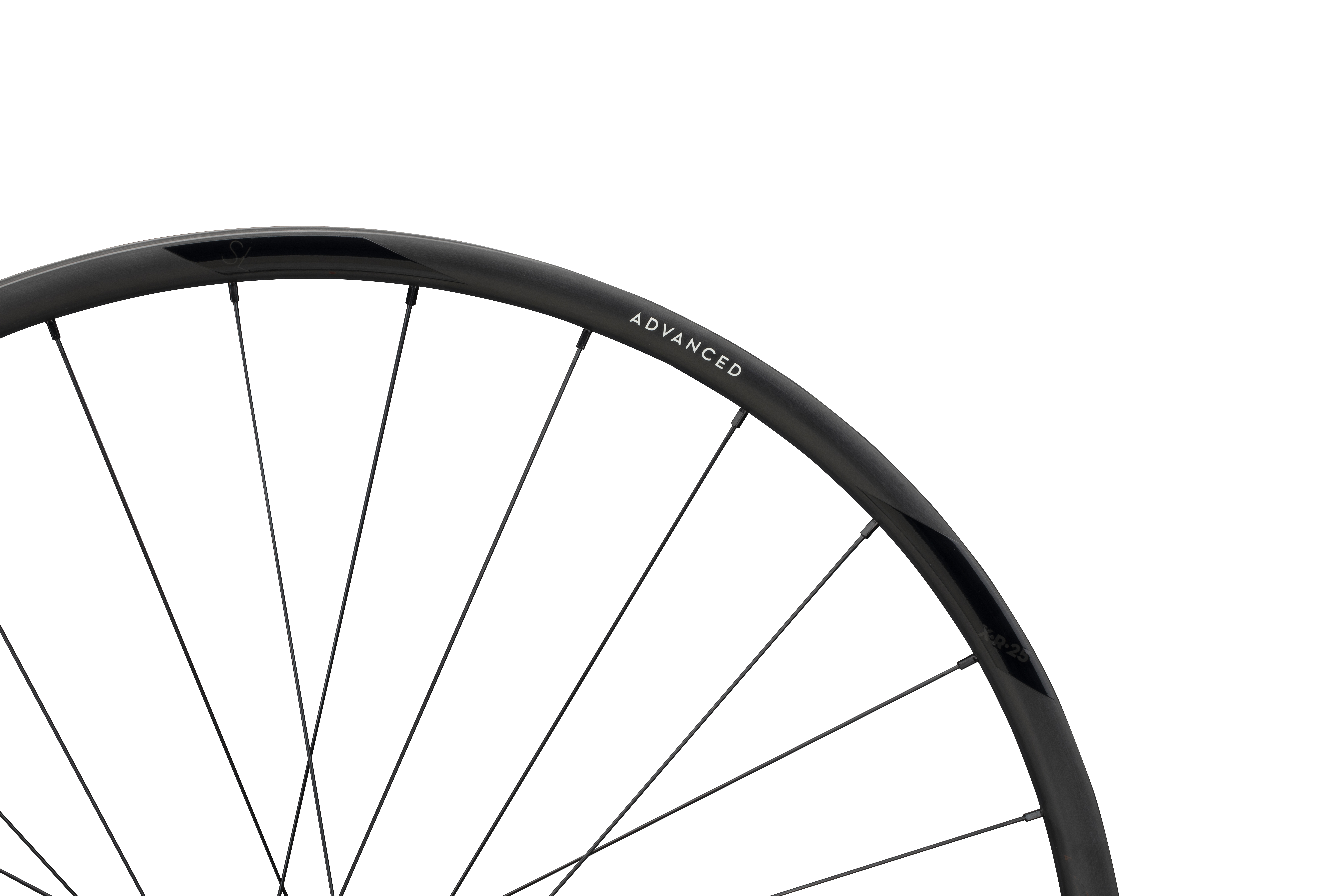 ROATA SPATE NEWMEN ADVANCED SL X.R.25 29INCH 28H FADE R SP CL 12X142 Micro Spline [2]