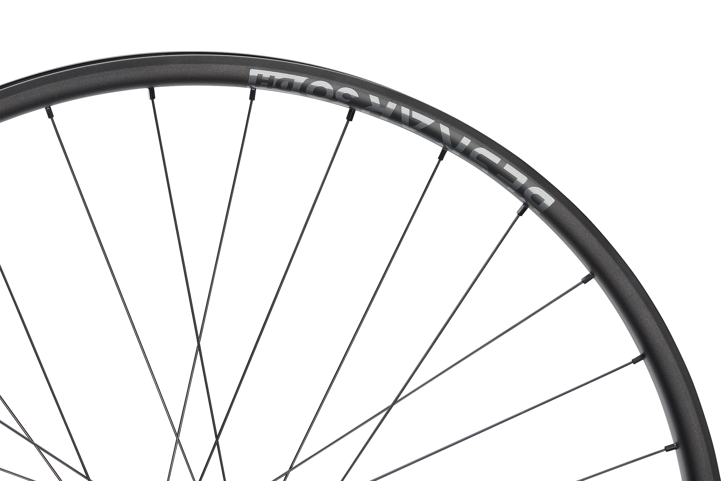 ROATA SPATE NEWMEN BESKAR 30 DH 29INCH 32H FADE SP 6B 12X157 Micro Spline [3]