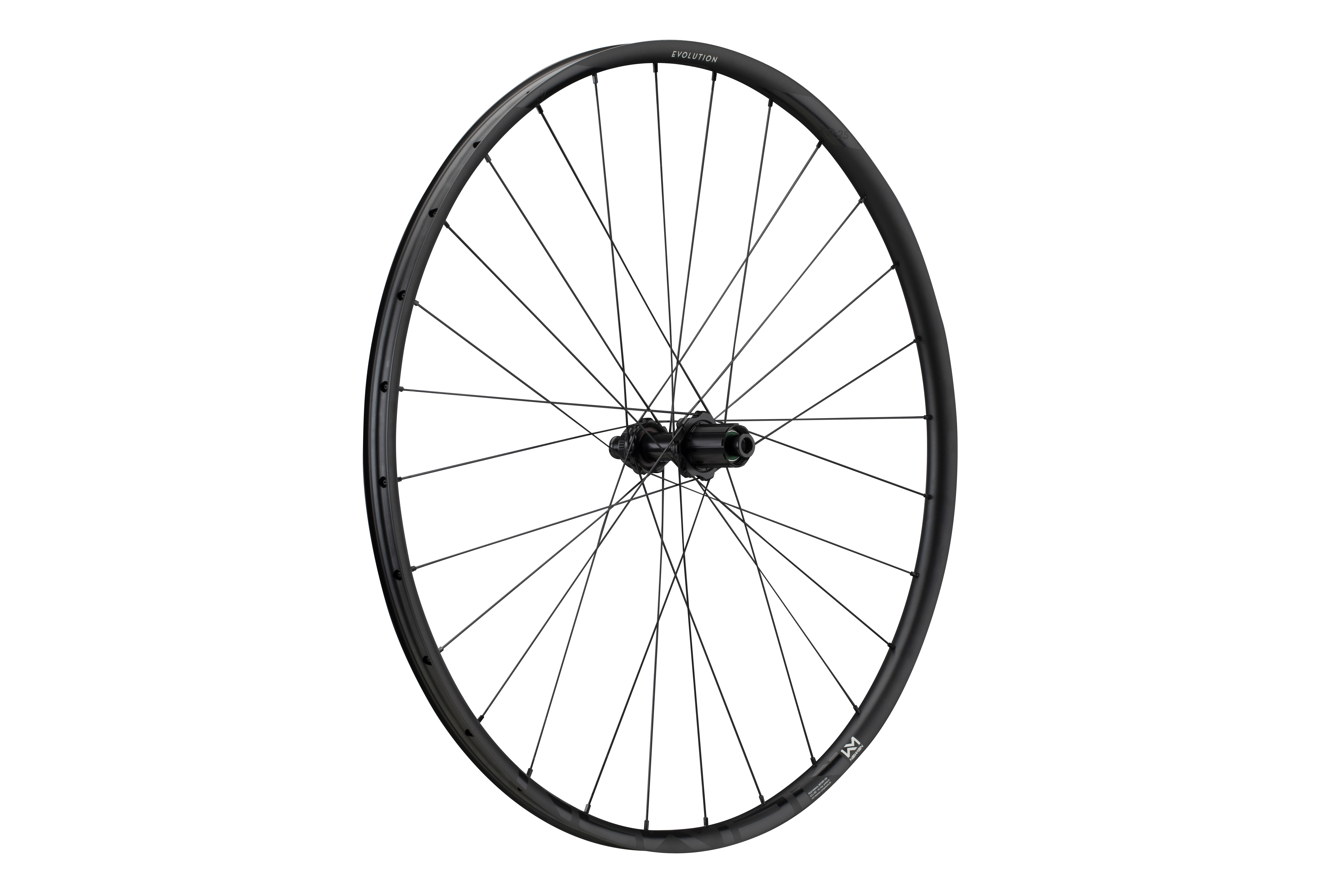 Roti - ROATA SPATE NEWMEN EVOLUTION SL X.R.25 29INCH 28H FADE R SP CL 12X142 Sram XDR