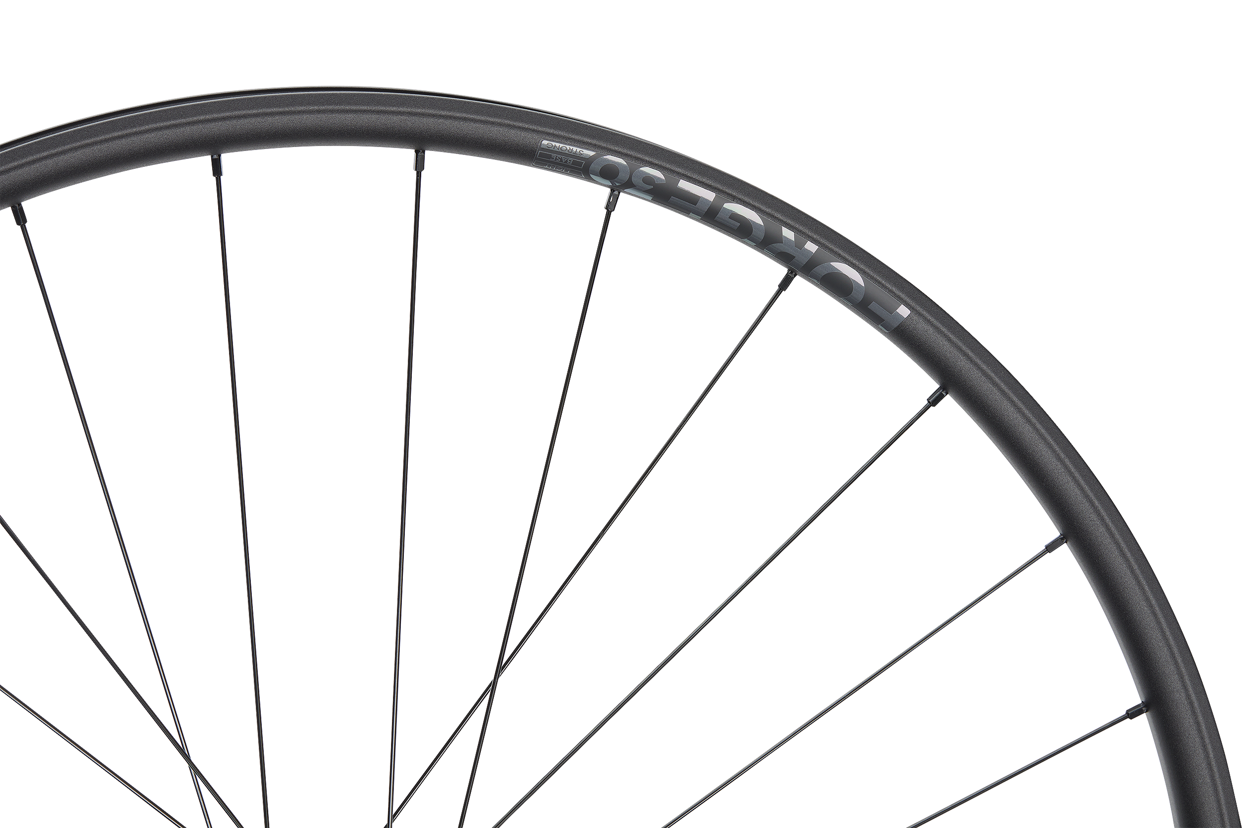 ROATA SPATE NEWMEN FORGE 30 STRONG 29INCH 32H FADE SP 6B 12X148 Shimano HG [3]