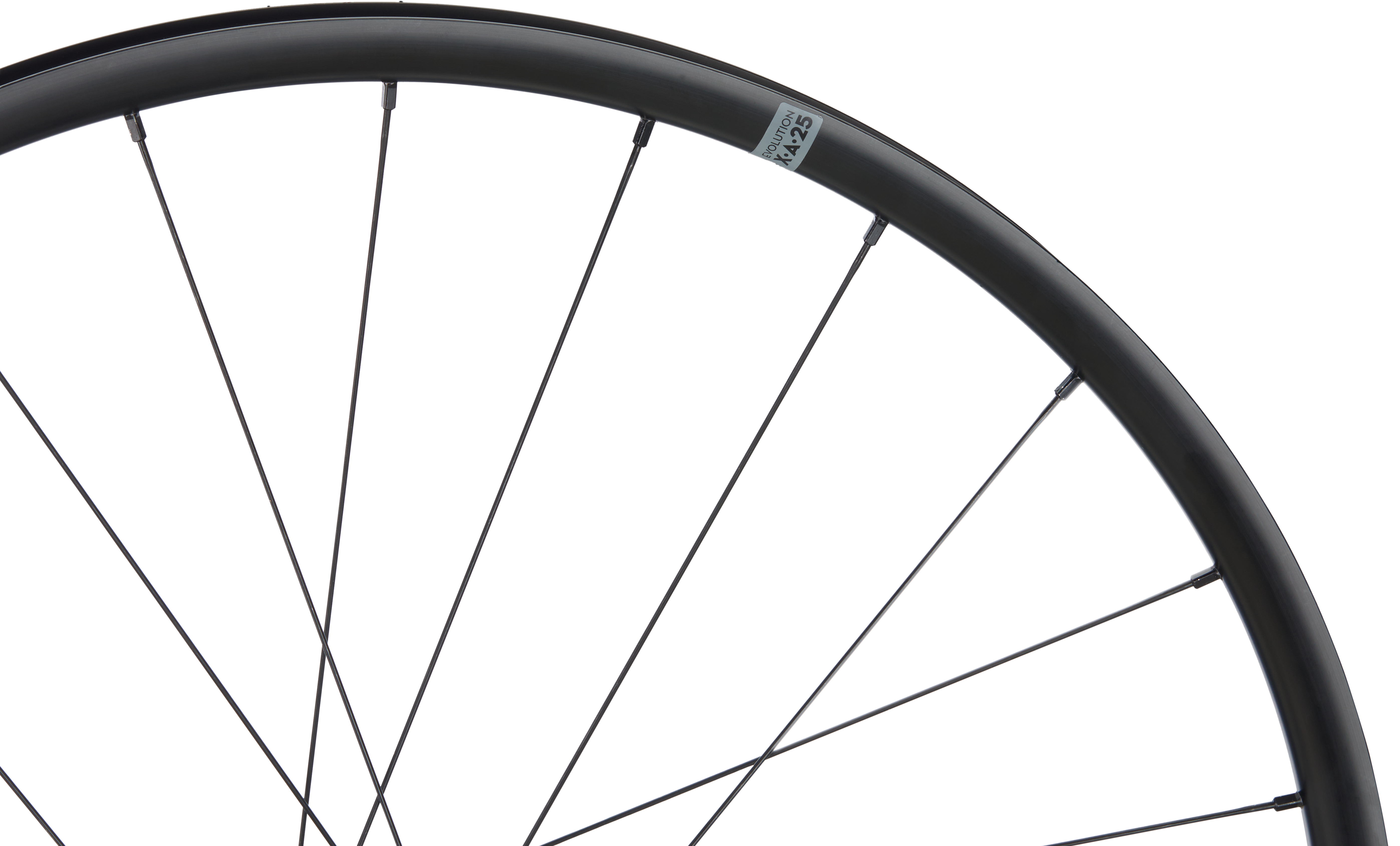 ROATA SPATE NEWMEN KIDS EVOLUTION X.A.25 24INCH 12X148 SP 6BOLT 24H Shimano HG [1]