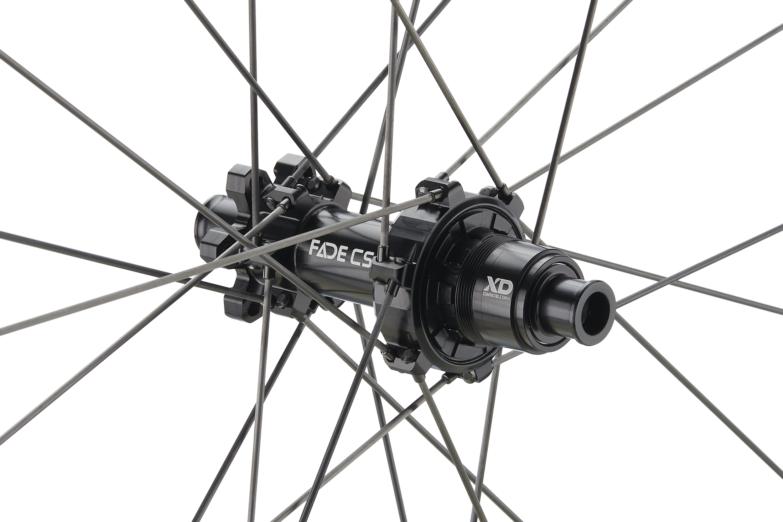 ROATA SPATE NEWMEN PHASE 30 BASE VONOA 29INCH 24H FADE CS SP 6B 12X148 Micro Spline [2]